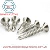 Vít đầu bằng đuôi cá
