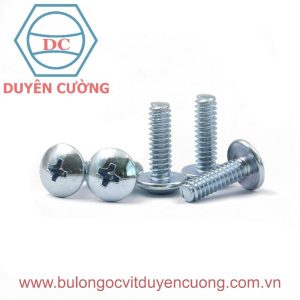 Vít đầu dù ren bulong(đầu chữ +)