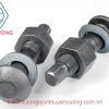 Bulong đứt đuôi S10TC