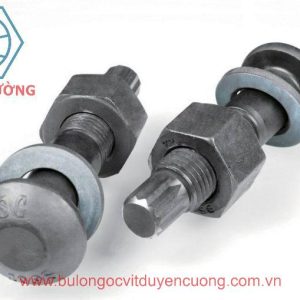 Bulong đứt đuôi S10TC